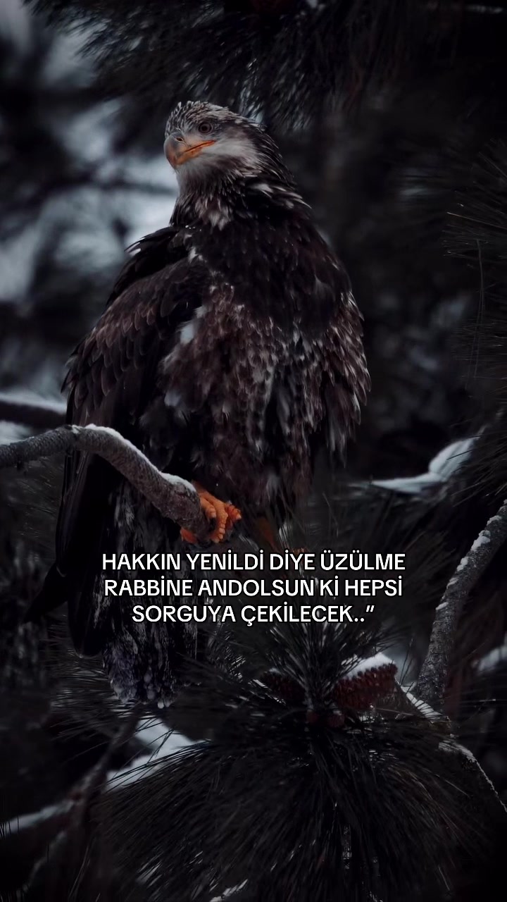@çılgın 🚴♂️🧿