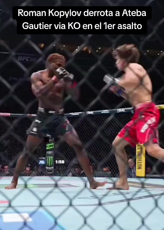 @GLOBALMMA