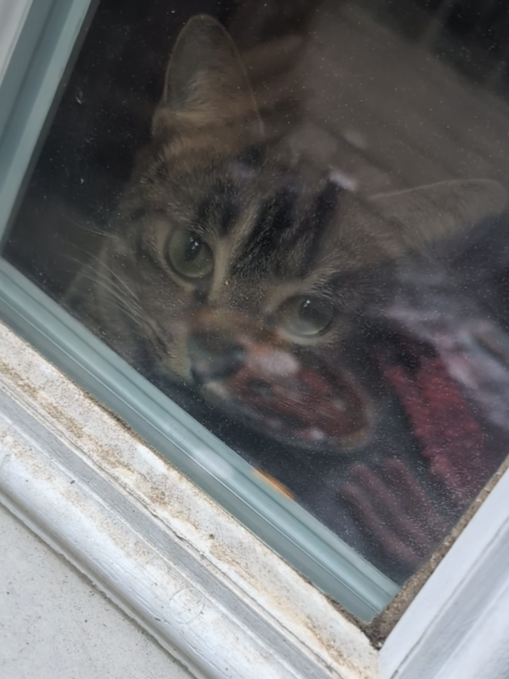 @ʟɪᴢᴢɪᴇ
