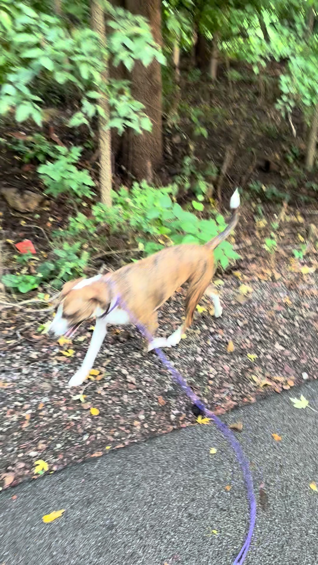 @Hikingwithstanley