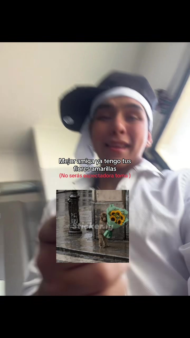 @Sebastian🪫