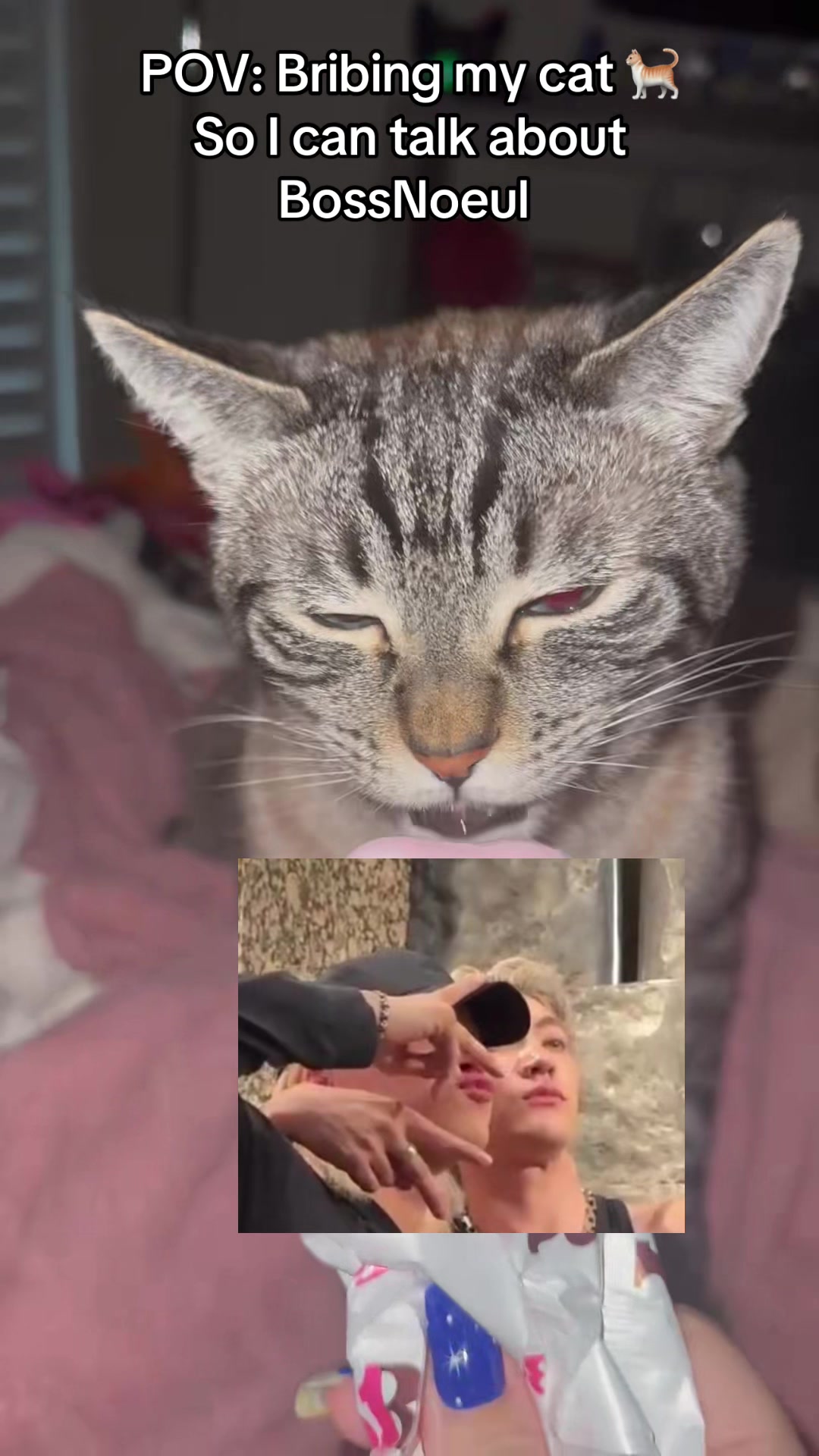 @Helen aka Crazy cat lady