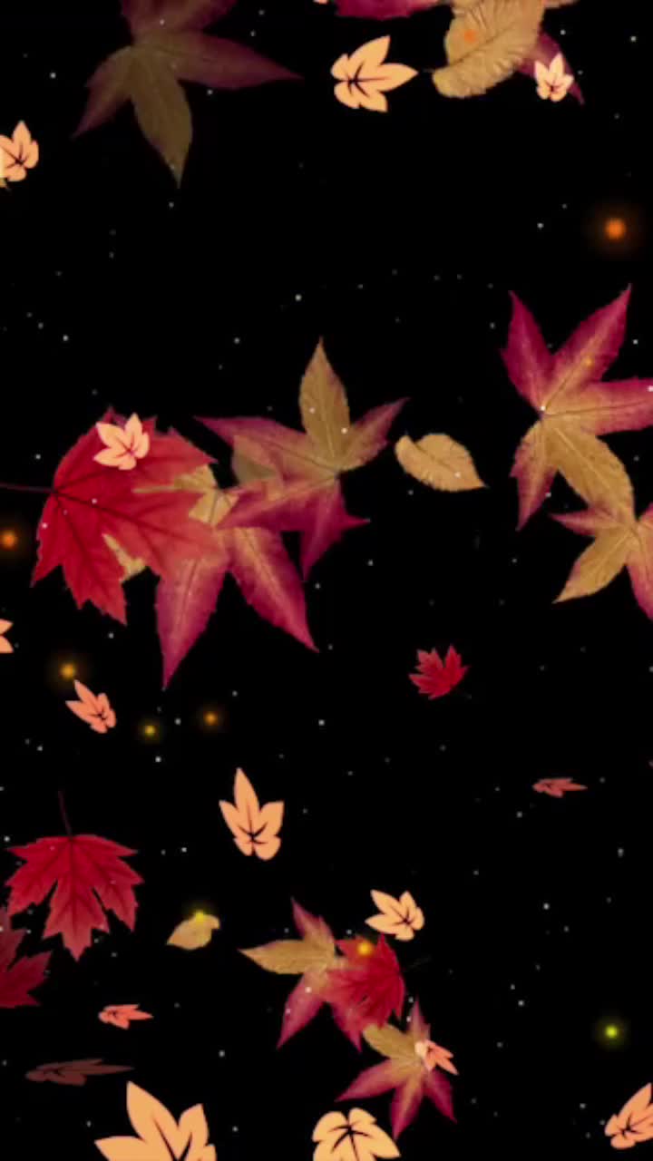 @🌷🌷P.❤️ J.🌷🌷