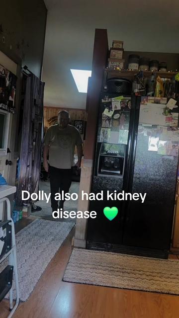 @MysticLisa💚