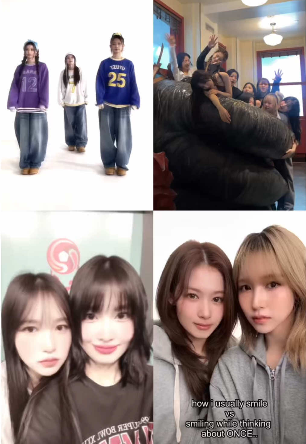 @MOMO
