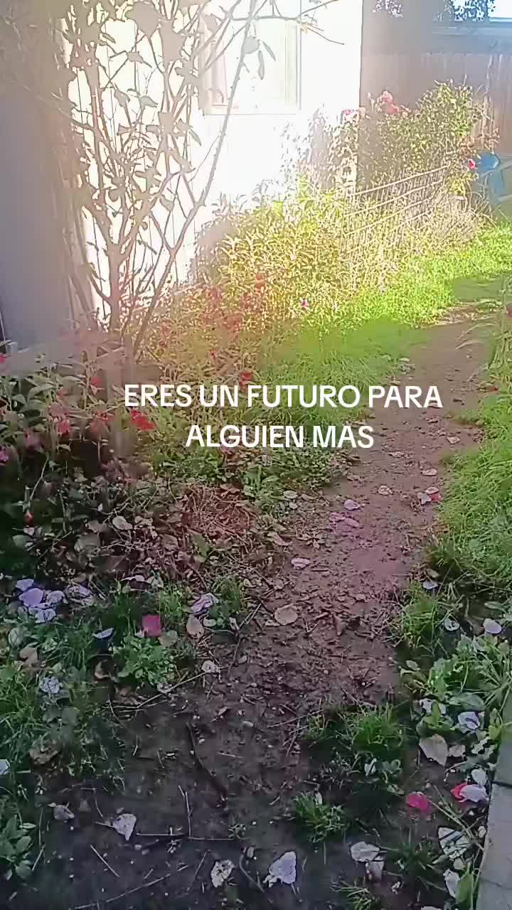 @𝐩𝐫𝐢𝐧𝐜𝐞𝐬𝐚𝐝𝐞𝐋𝐂𝐀𝐅E