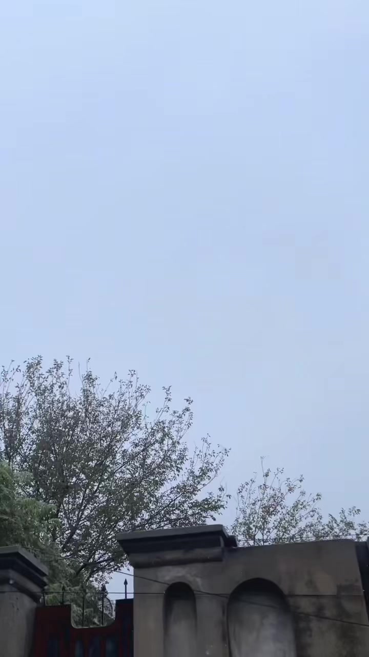@ꜱʜᴀyᴀɴ✨