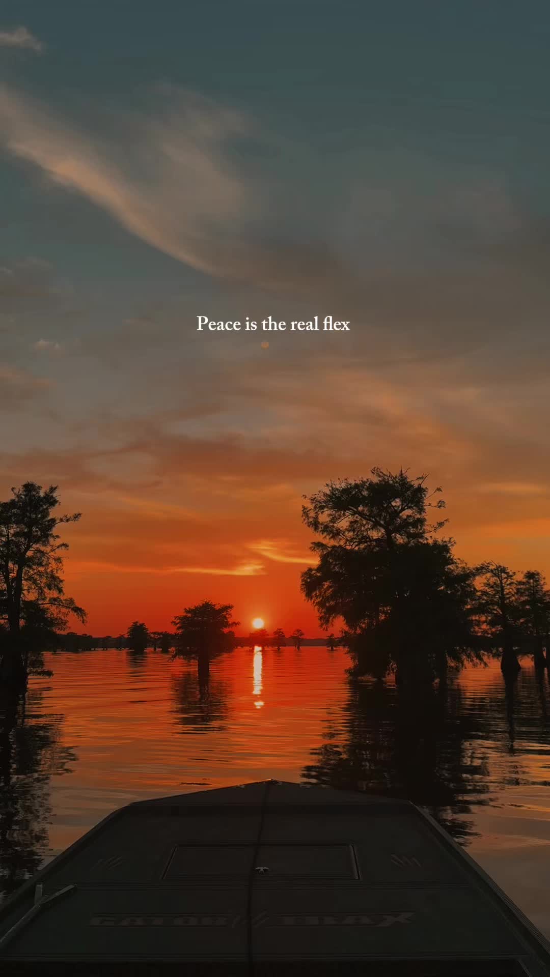 @Caddo Lake FirstCastCabin