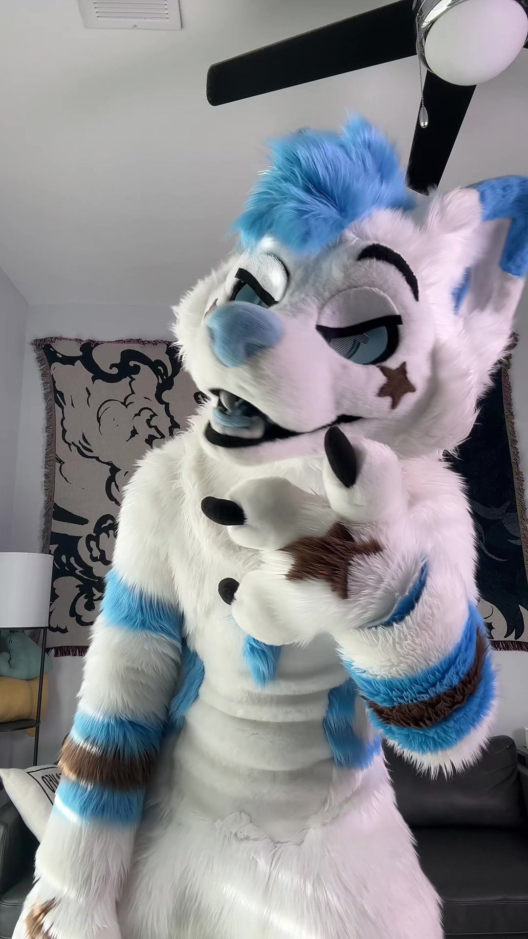 @BlueFoxNova