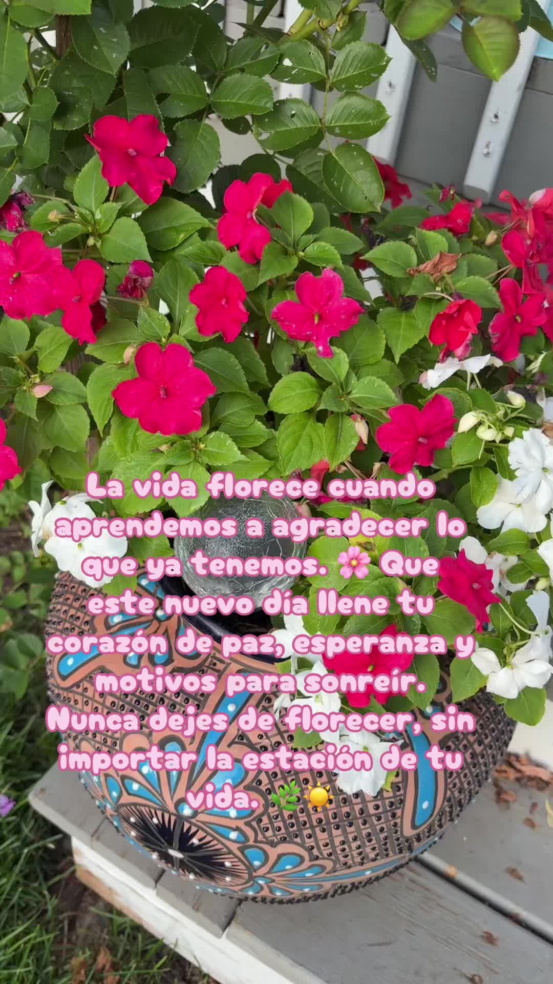 @🍂🍁🌻OTOÑO 🌻🍂🍁
