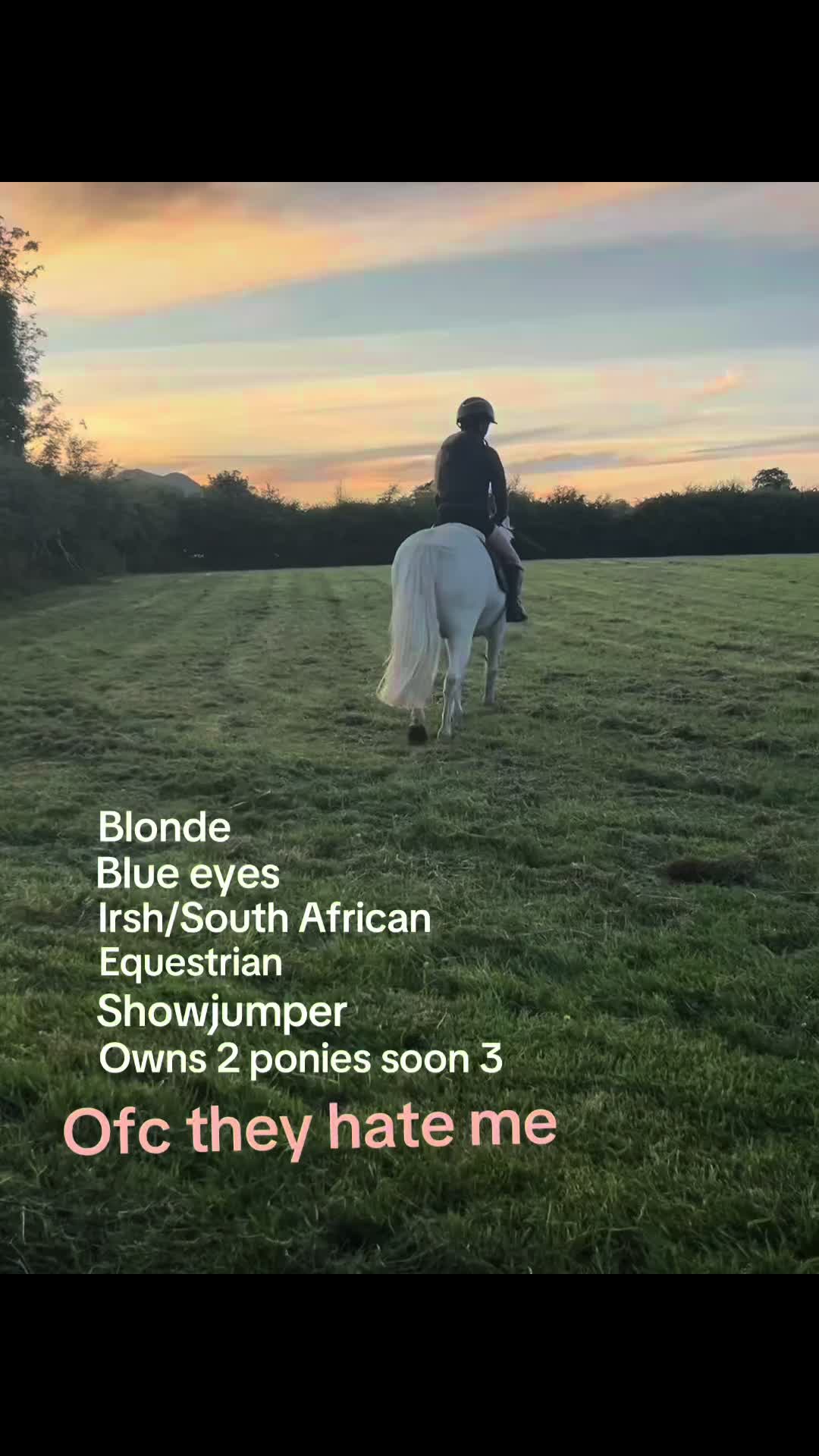 @aoibheann🪽