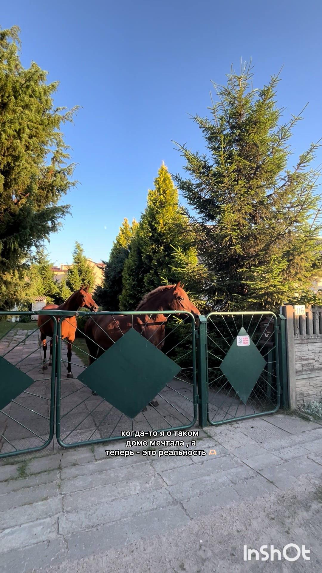 @❗Брест❗ 🐎Конюшня 🐎