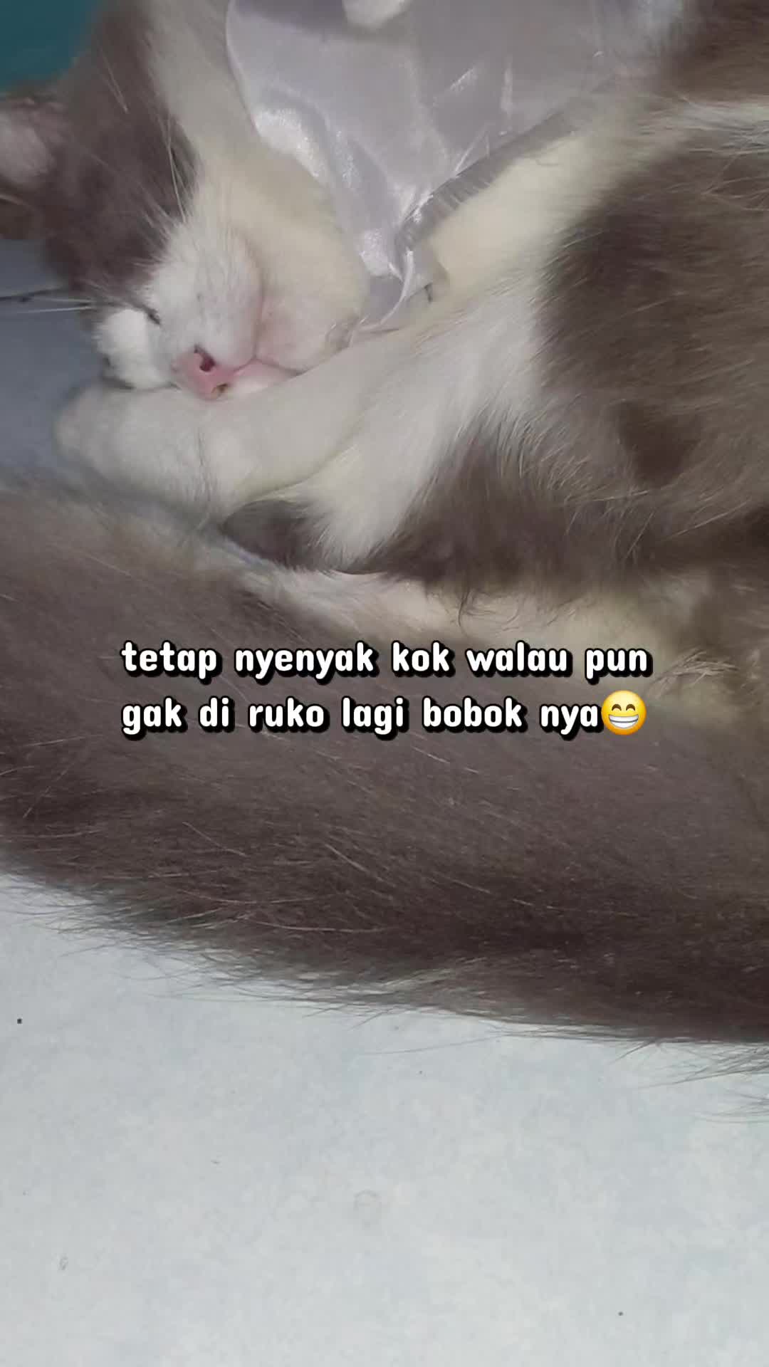 @Erni_marpaung
