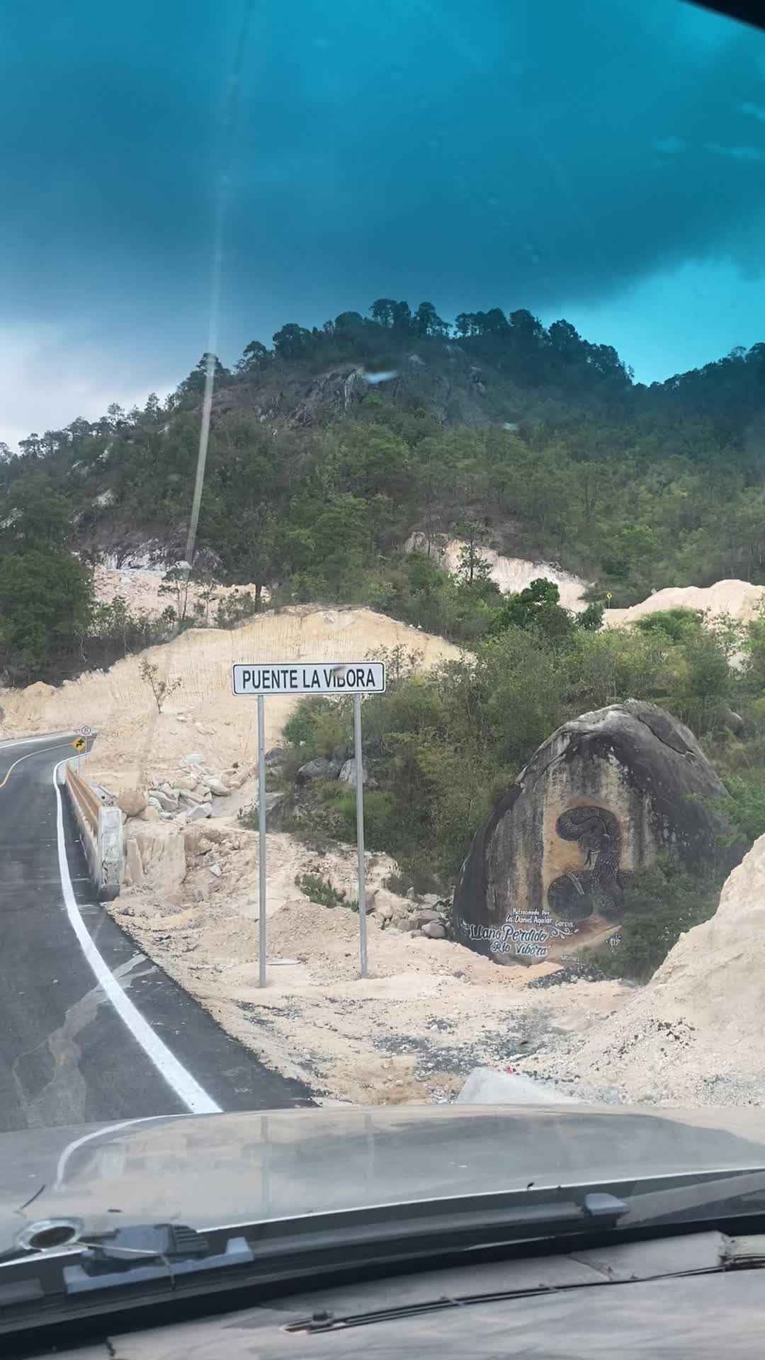 @Gc Mochi🇲🇽🦎🏔️
