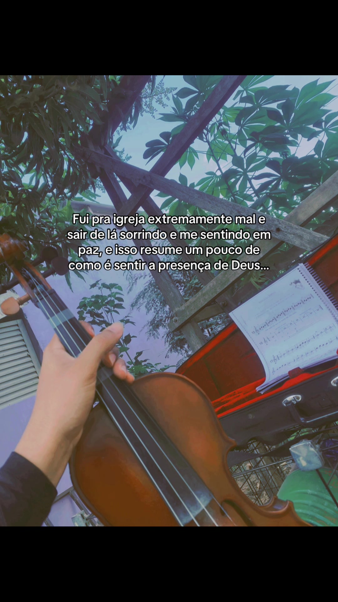 @Junior Cardoso