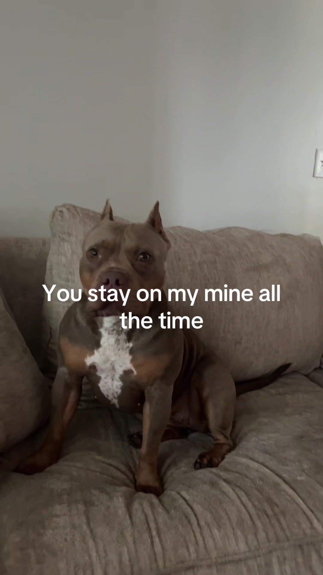 @Kj256