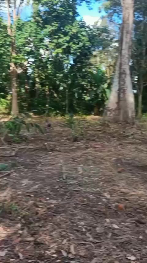 @Journalist_ngonten