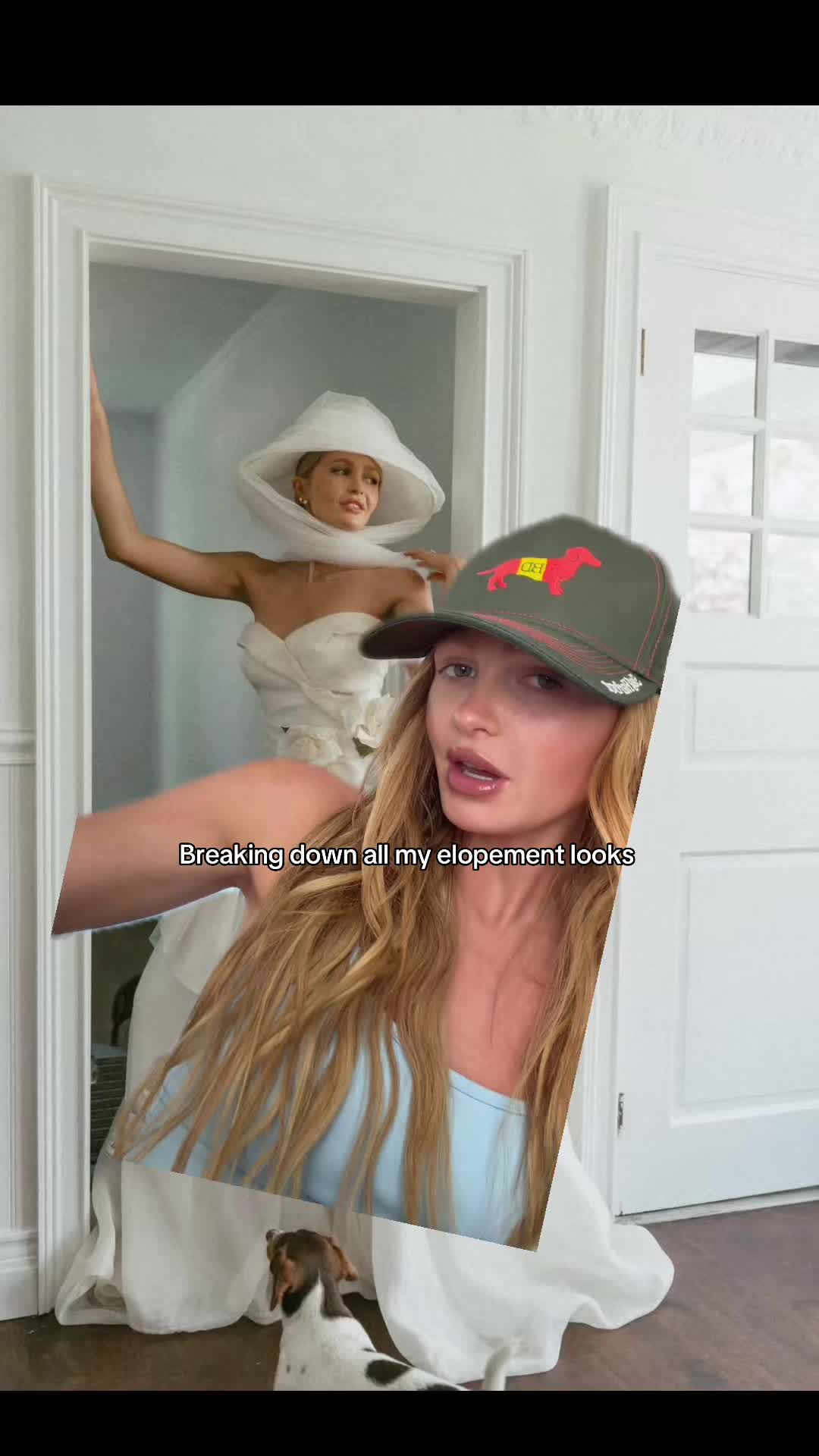 @halley