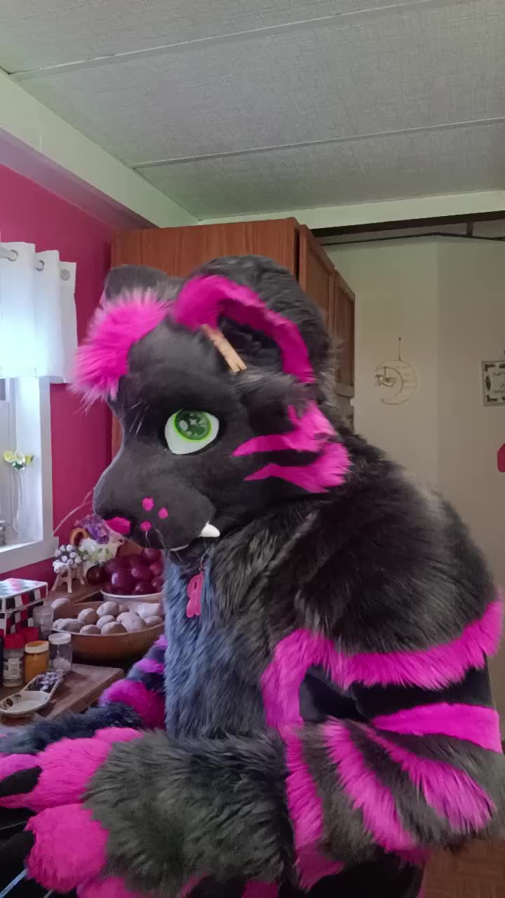 @dingbat 🐾 mew,mew 🐾 🔜 AC26