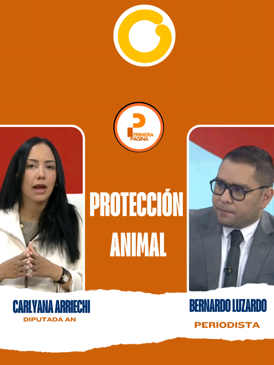 @Bernardo Luzardo