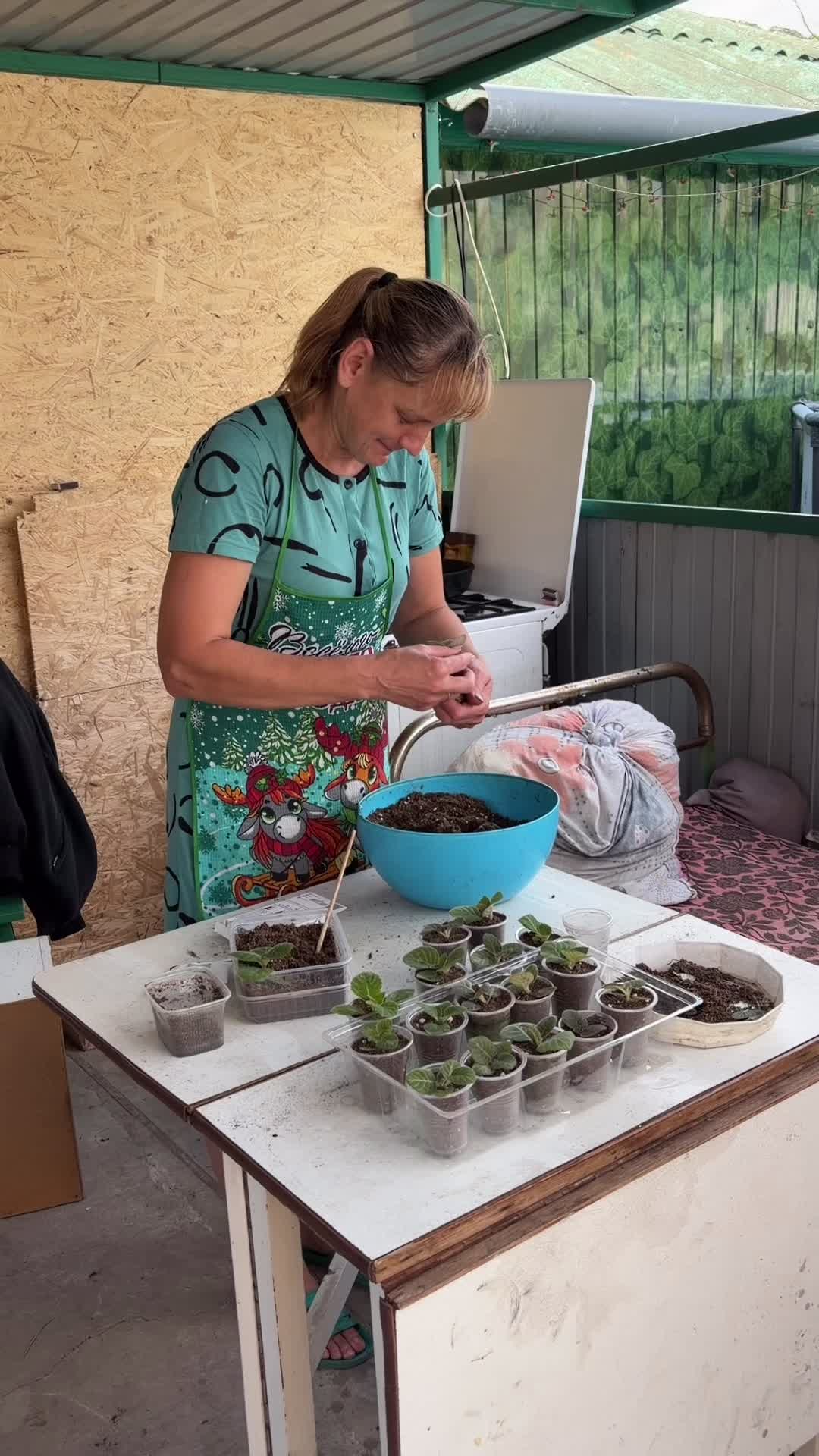 @Дом полон жизни