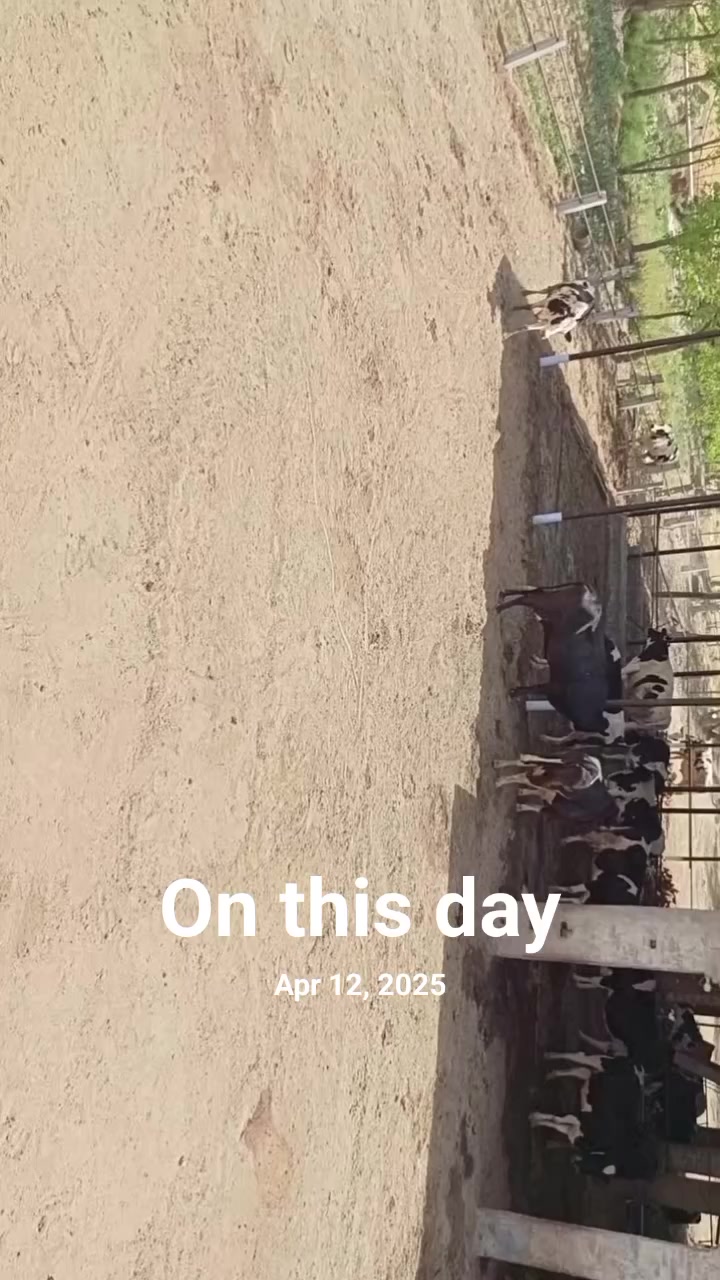 @Miandairyfarm