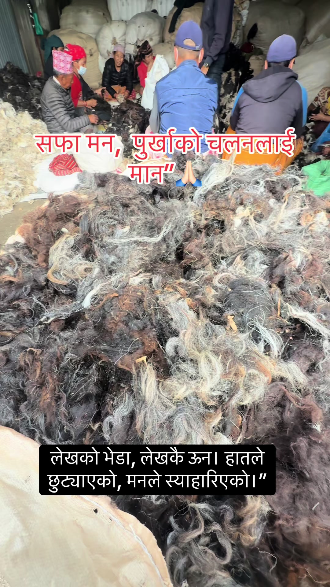 @Radi Pakhi (राडी पाखी )