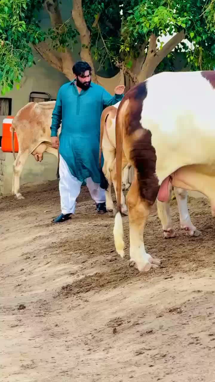 @user14650776897