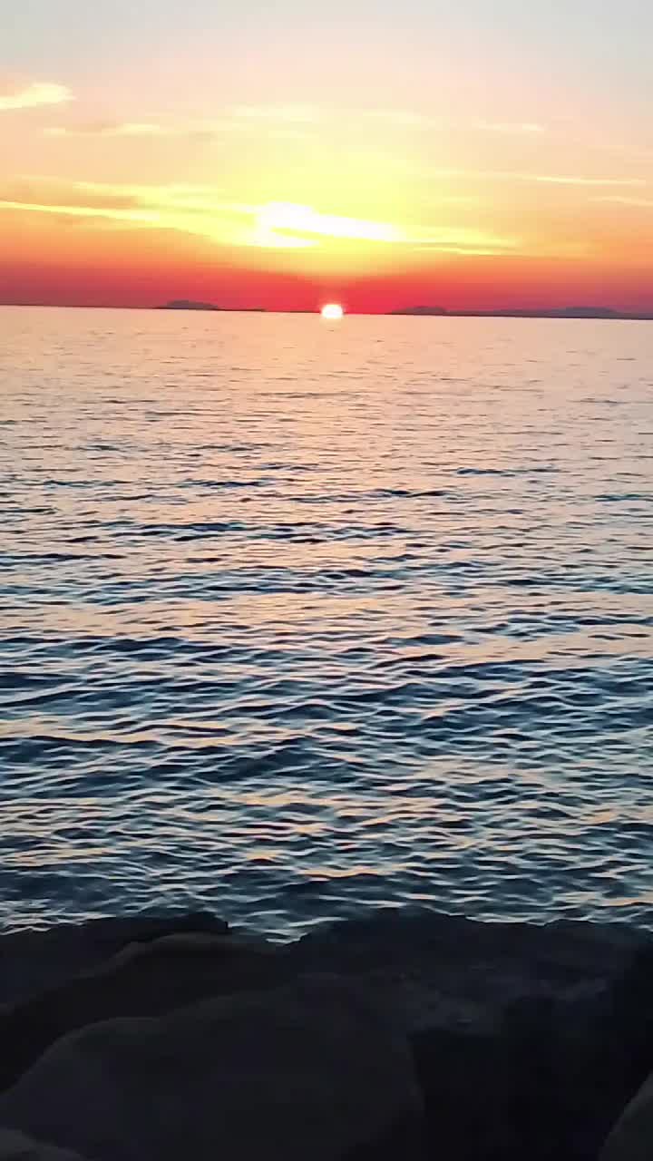 @raffaelladamiani20
