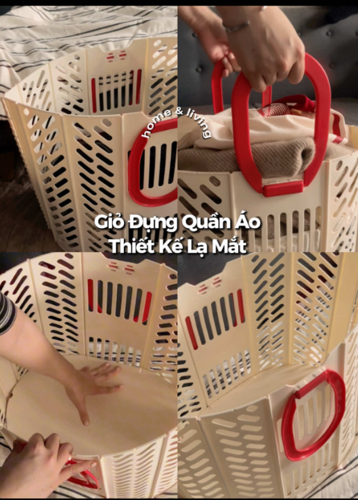 @٠࣪⭑ Hui Yin Chuột Bạch ⦮ ⦯