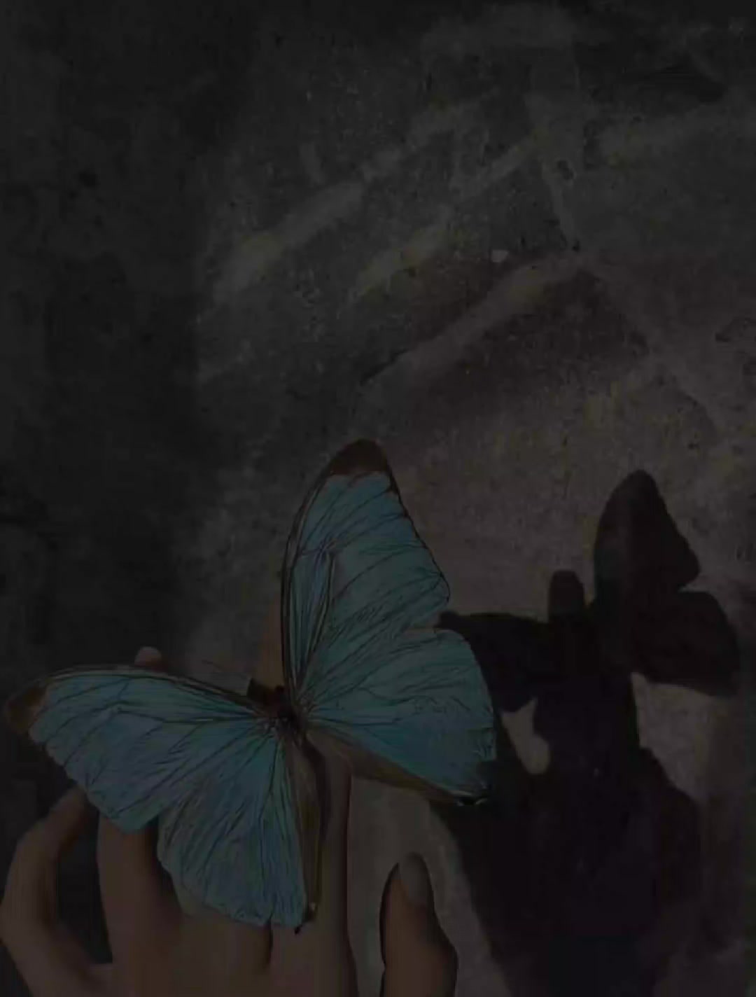 @- 𓏲𝐄𝐬𝐇𝐮𐙚🎀