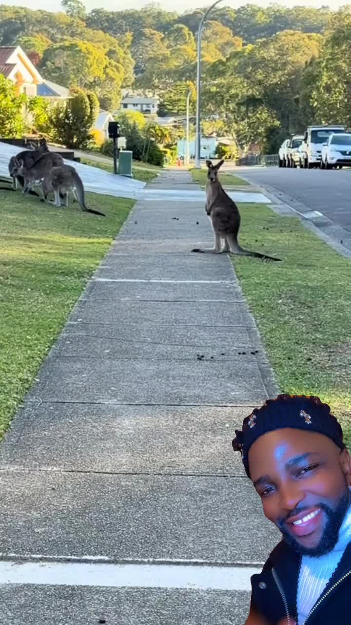 @commenter 256