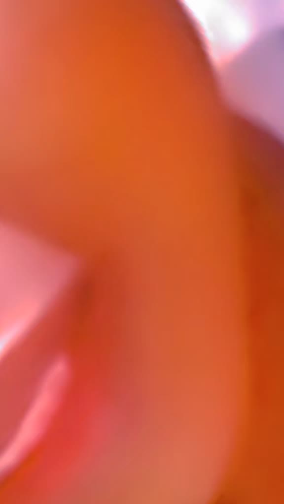 @noxolondlala