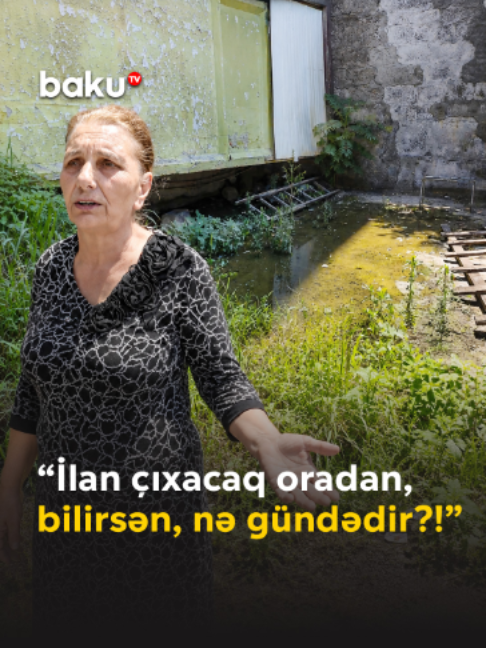 @baku.tv