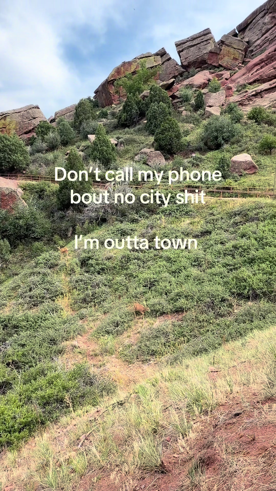@overmediummegz
