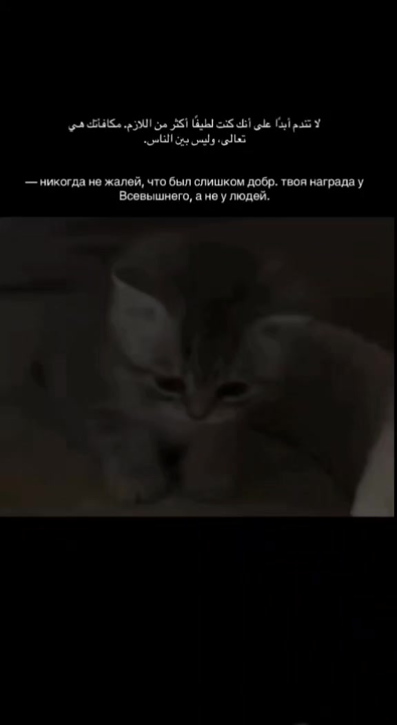@afset_129
