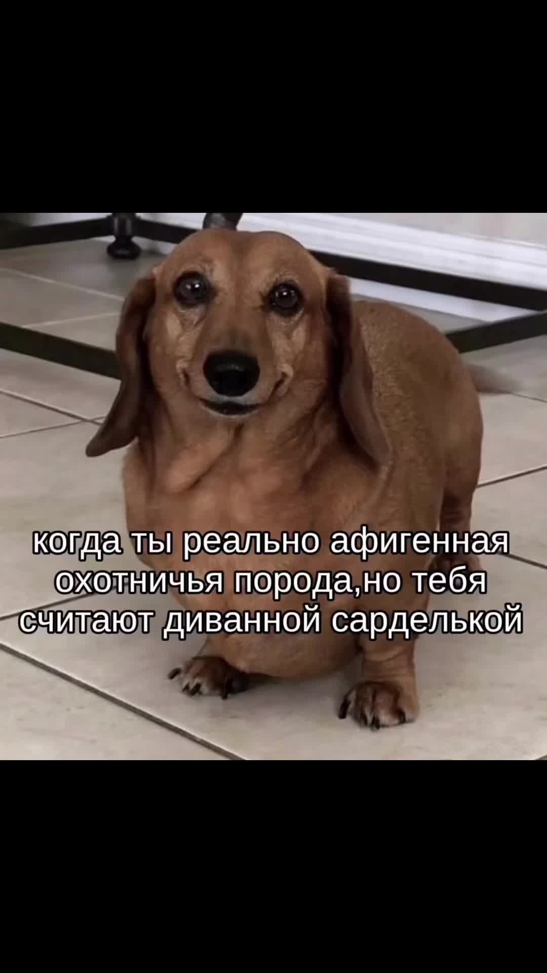 @Амбер