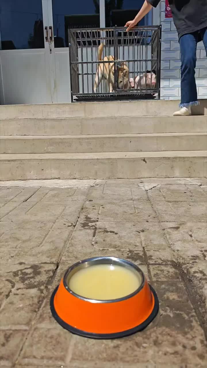 @Mia