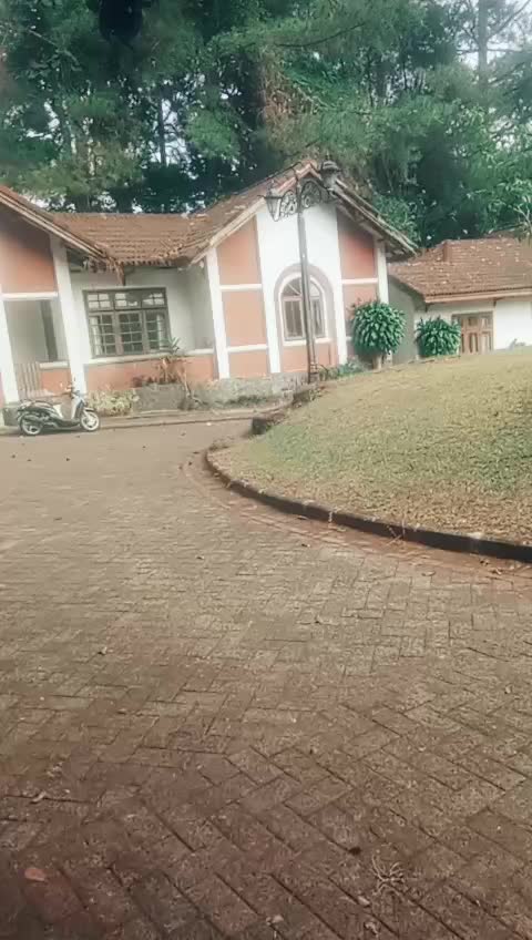 @teh dewi