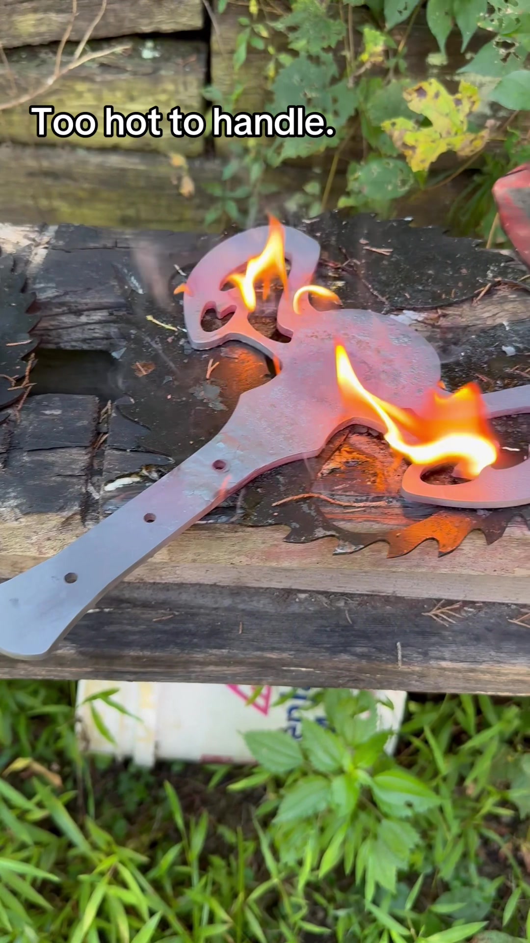 @Wild Endeavor