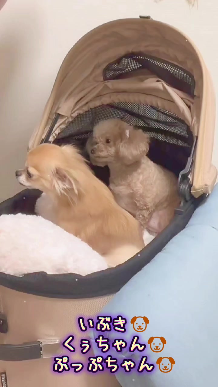 @あじゅ