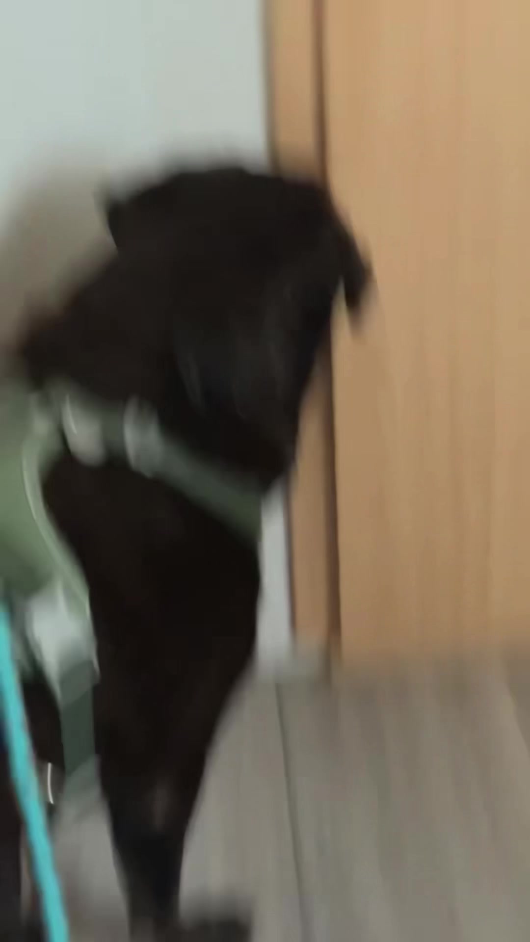 @sophia
