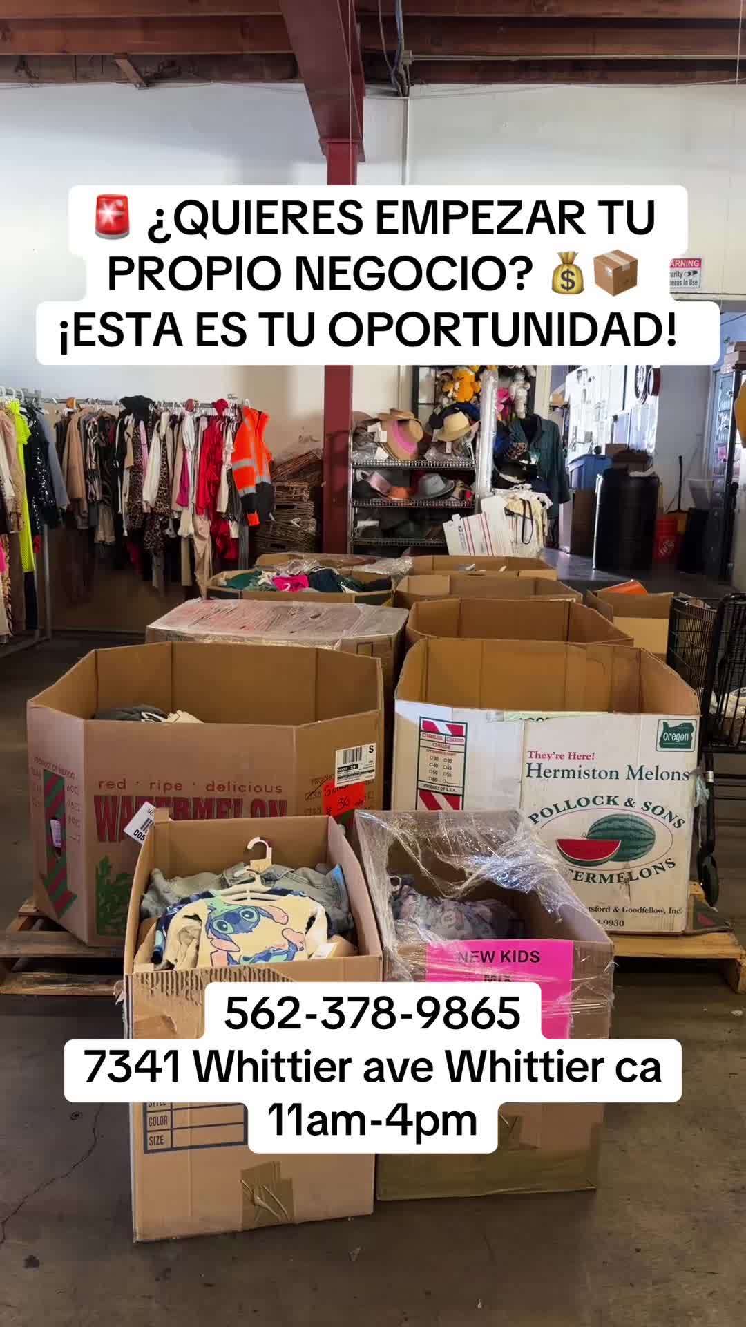 @LAPACA Diamante wholesale