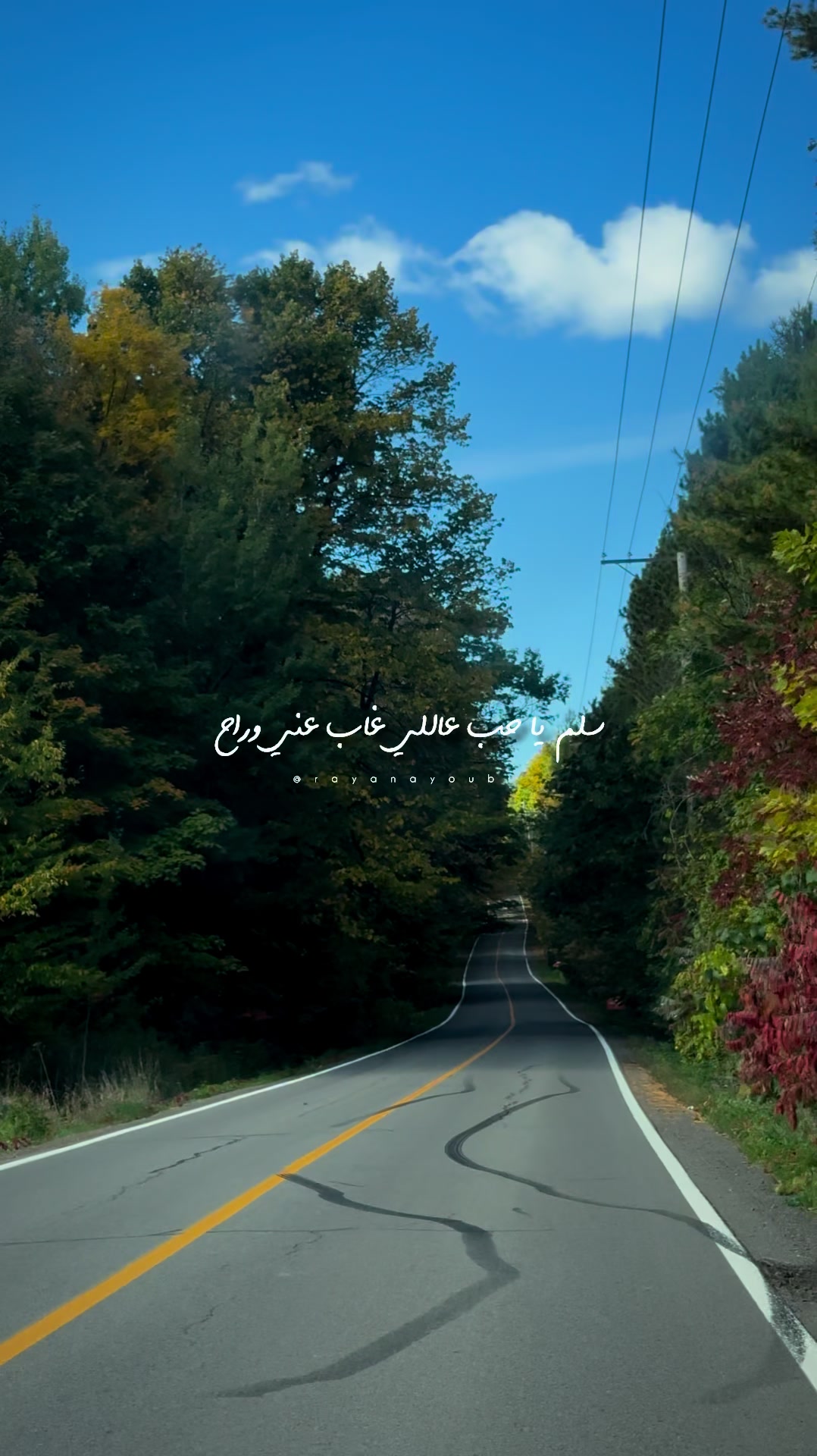 @Rayan El Ayoubi
