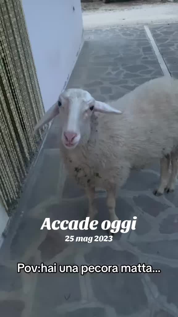 @Francesca Di Gabriele