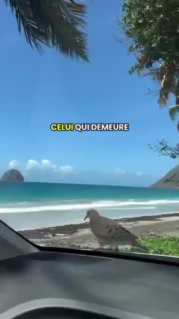 @shelodylove