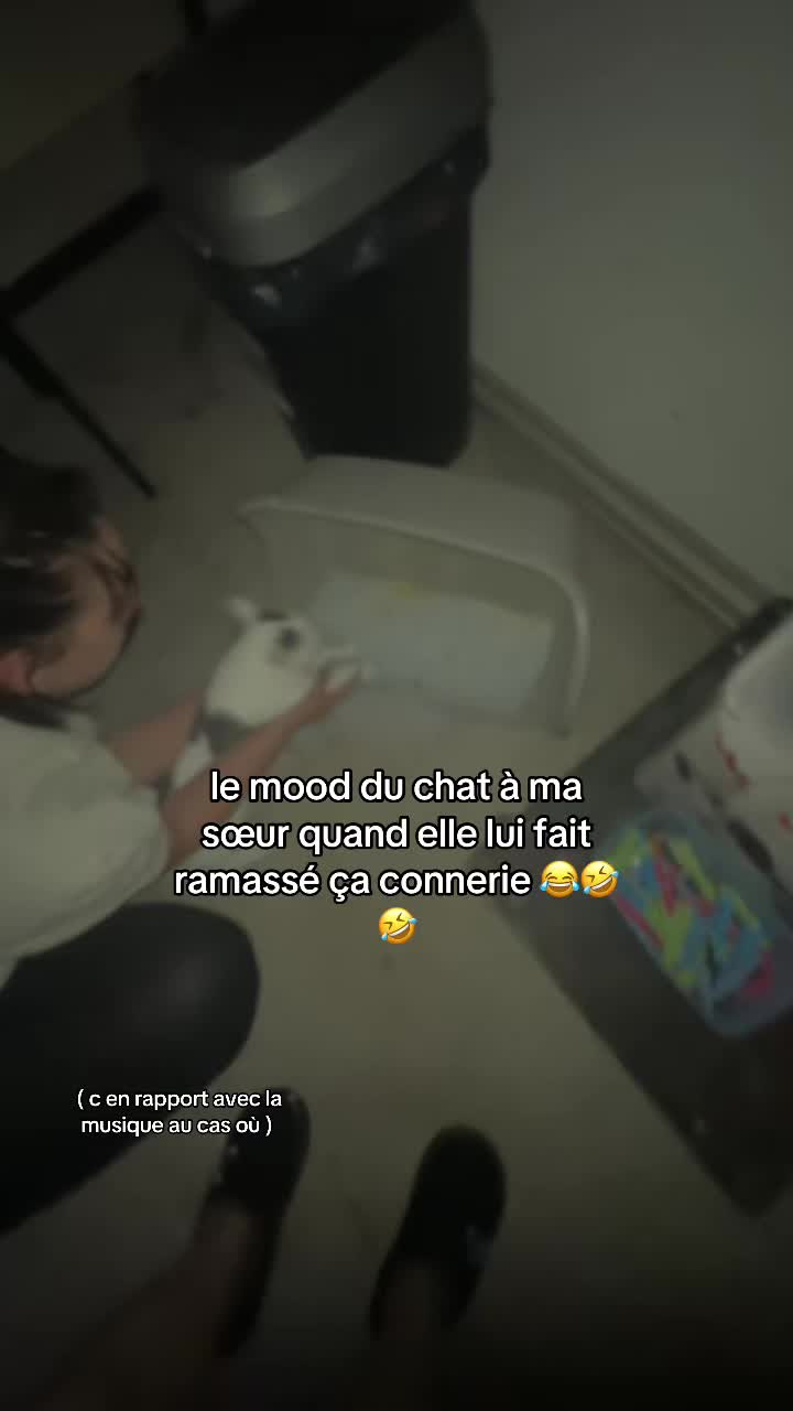 @🍃🍃