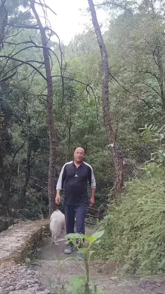 @thapasuresh748