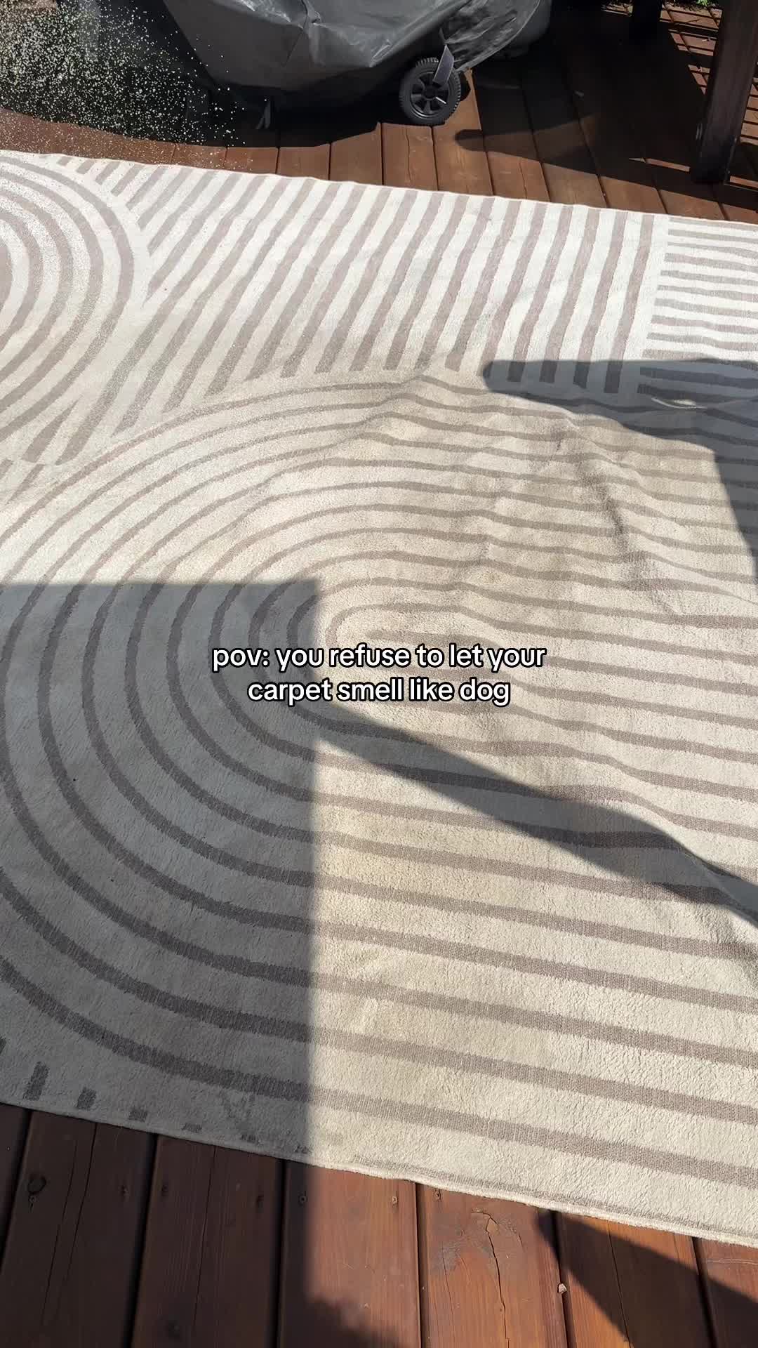 @jasminebryannaaa