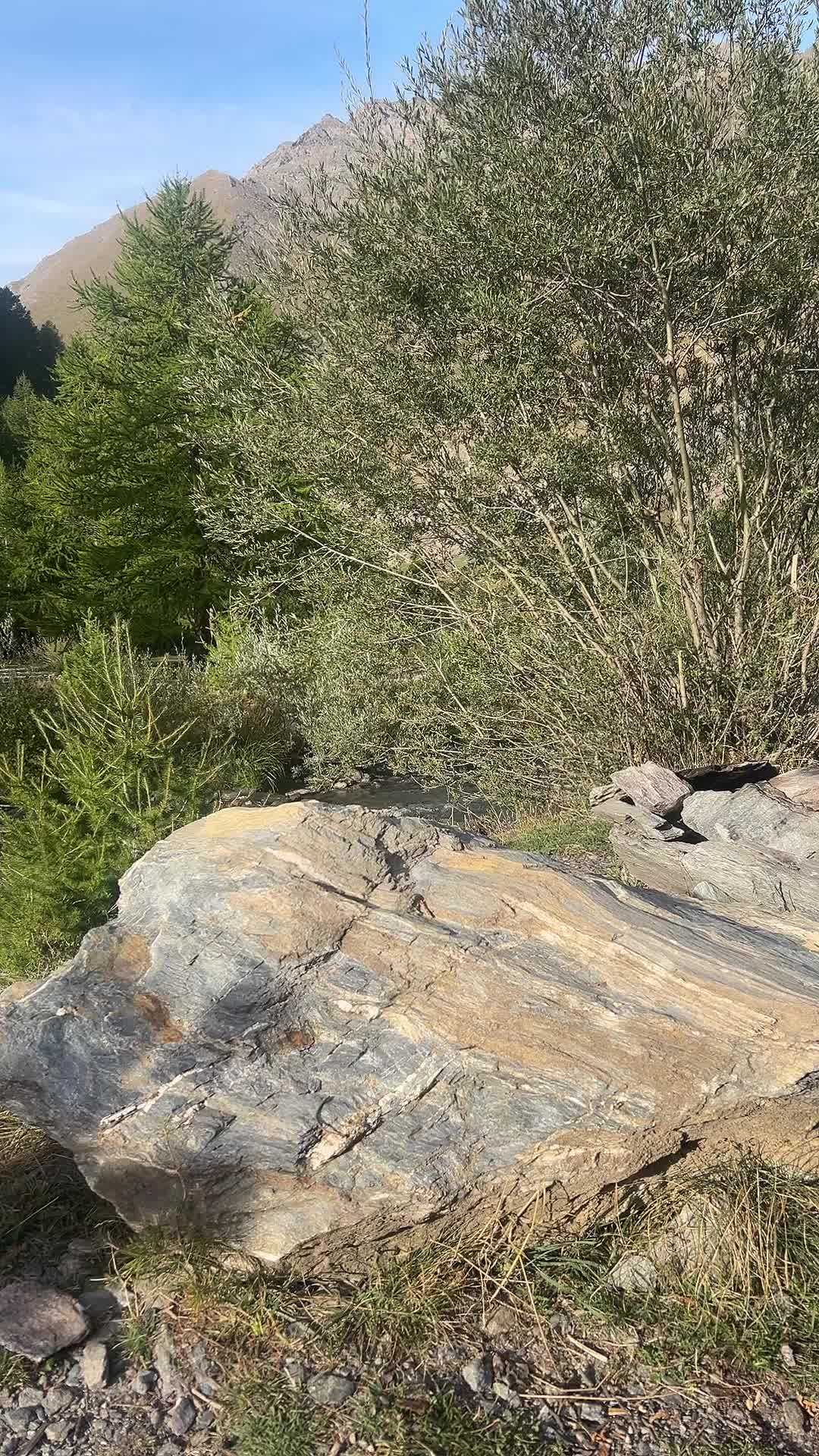 @RIM-KTM